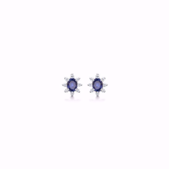 8320/5/14-hvidguld-ørestik-roset-diamant-safir