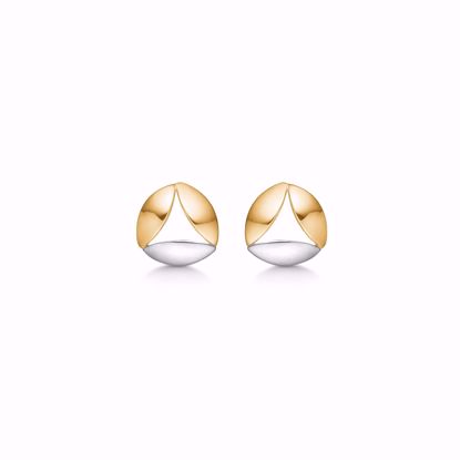guld-ørestik-øreringe-8kt-5579