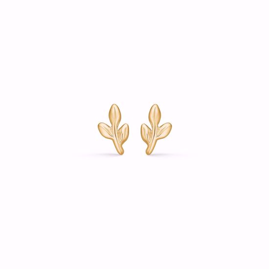 blad-øreringe-i guld-11418/f