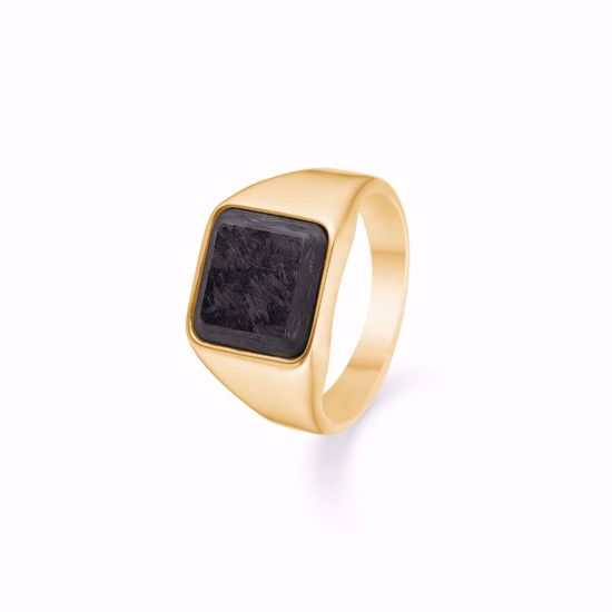 guld-herre-ring-med-sort-sten-2644