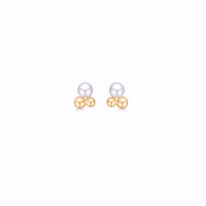 sophia-guld-øreringe-med-ferskvands-perler-11522