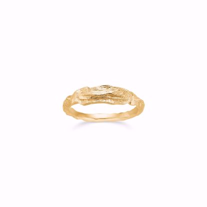 seville-guld-ring-2654/f