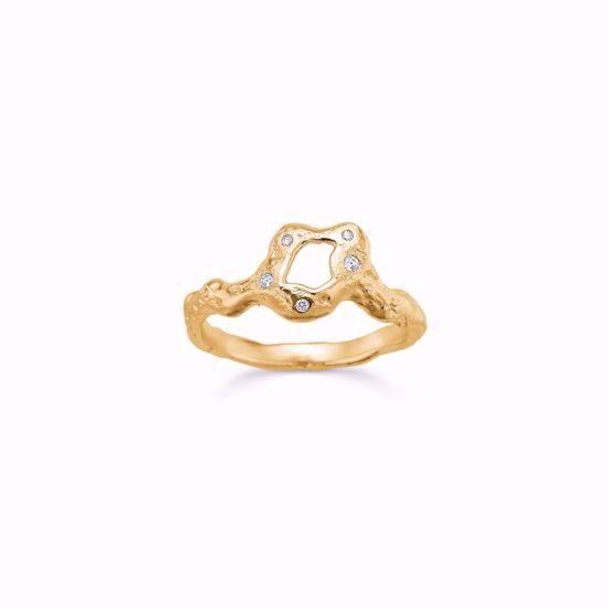 seville-guld-ring-med-zirkonia-2655/f